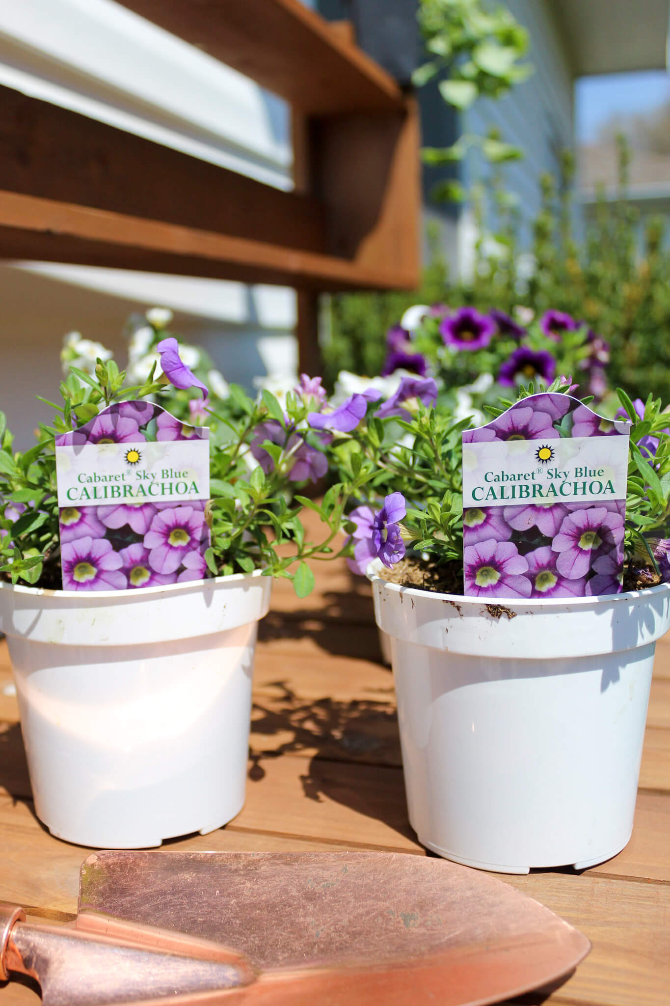 Simple DIY Spring Door Basket - Midwest Life and Style Blog
