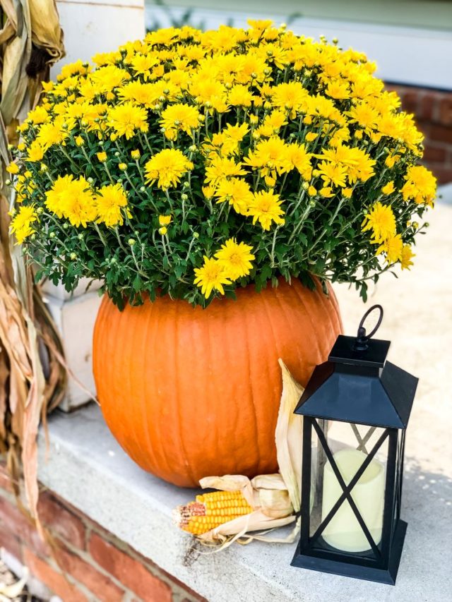 10 Easy DIY Ideas To Create A Cozy Home This Fall - Midwest Life and ...