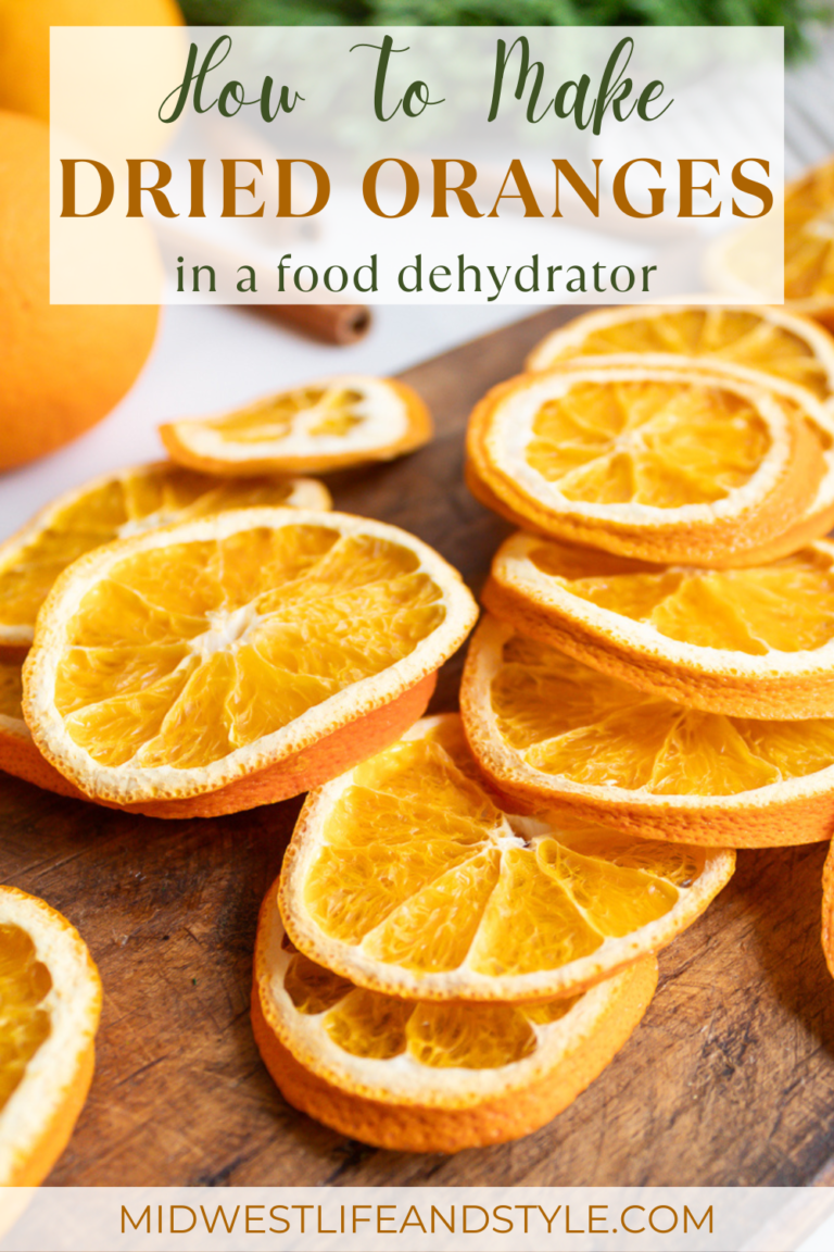 Simple Guide To Making Dried Oranges In A Dehydrator For Christmas ...