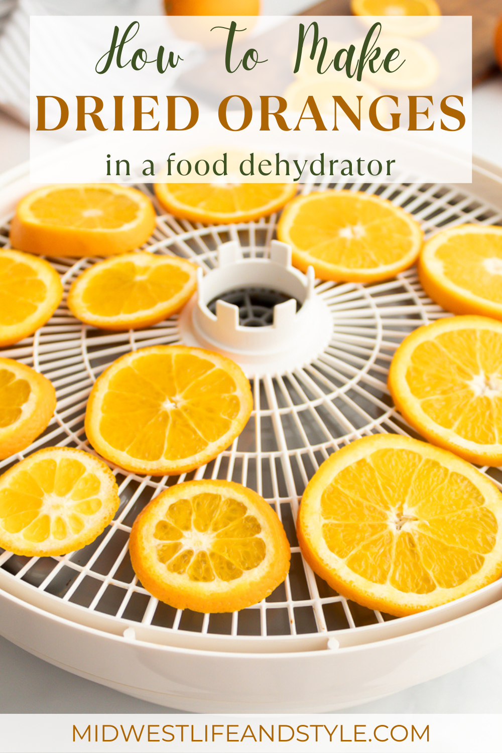 Simple Guide To Making Dried Oranges In A Dehydrator For Christmas ...
