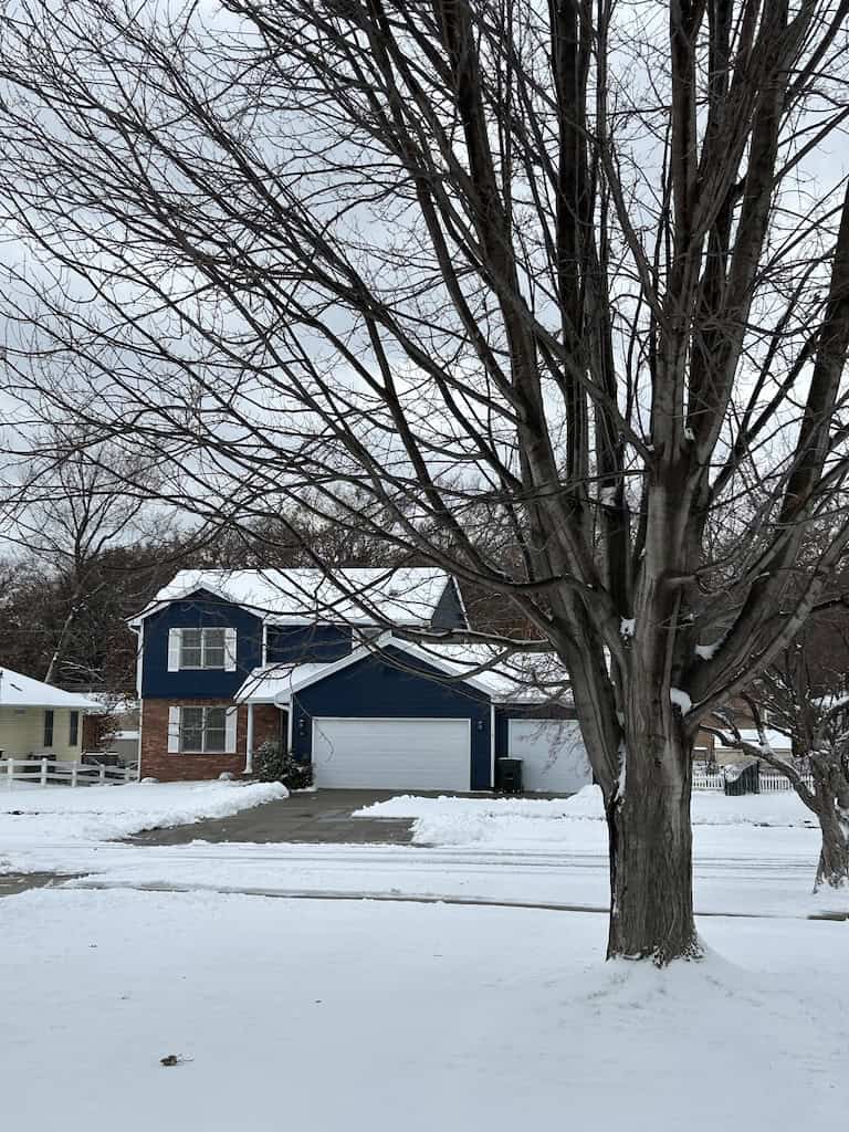 snowy views of a front yard with a snow coveered tree and snow on the roofs of houses across the street