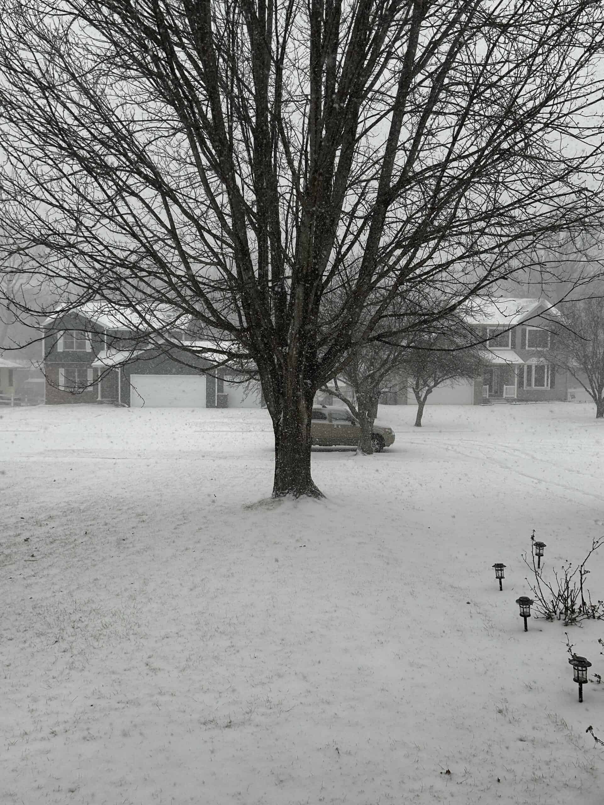 View out the window of it snowing outside and the lawn covered