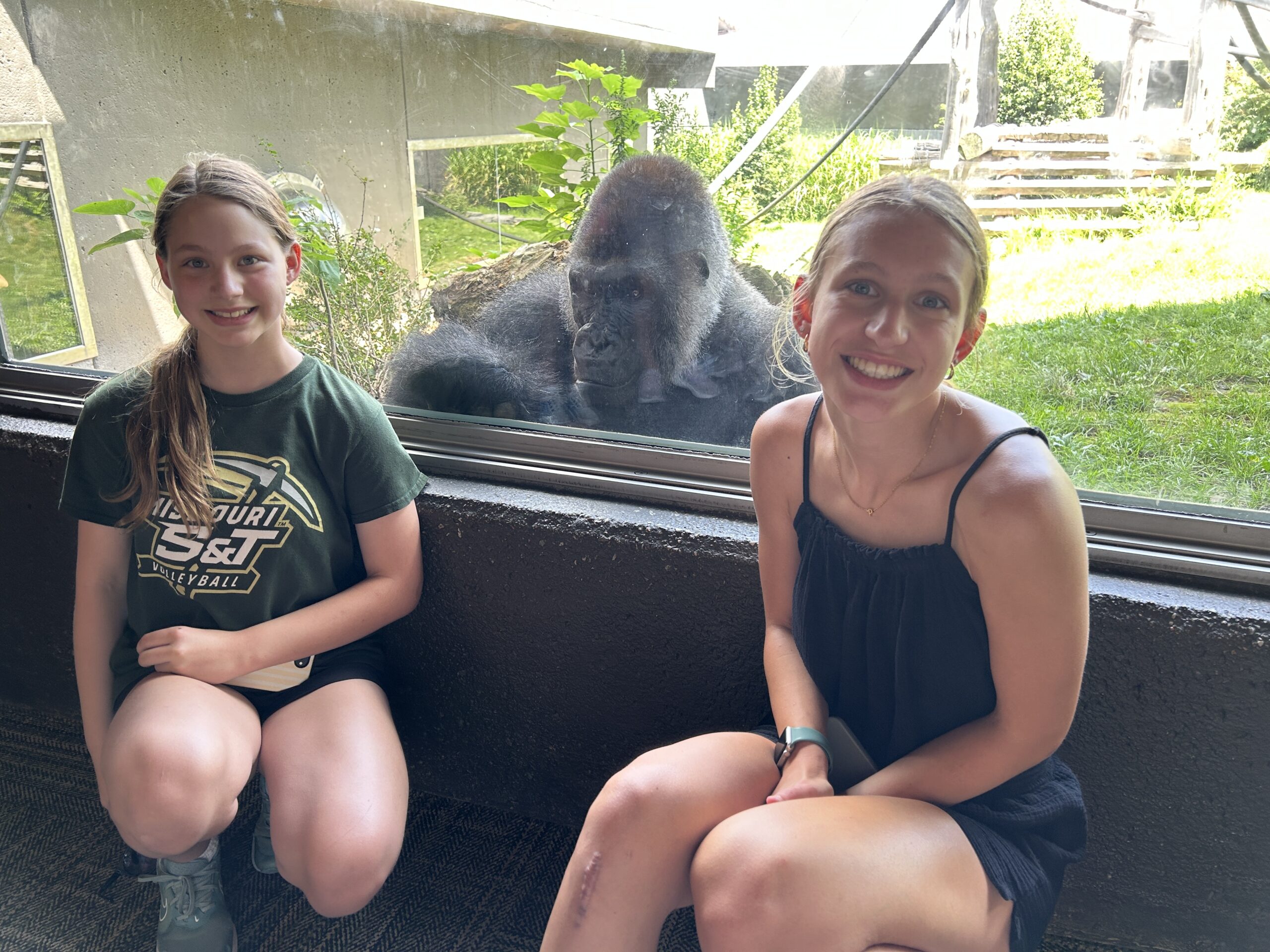 Two sisters smiling beside a western lowland gorilla at the zoo exhibit.
