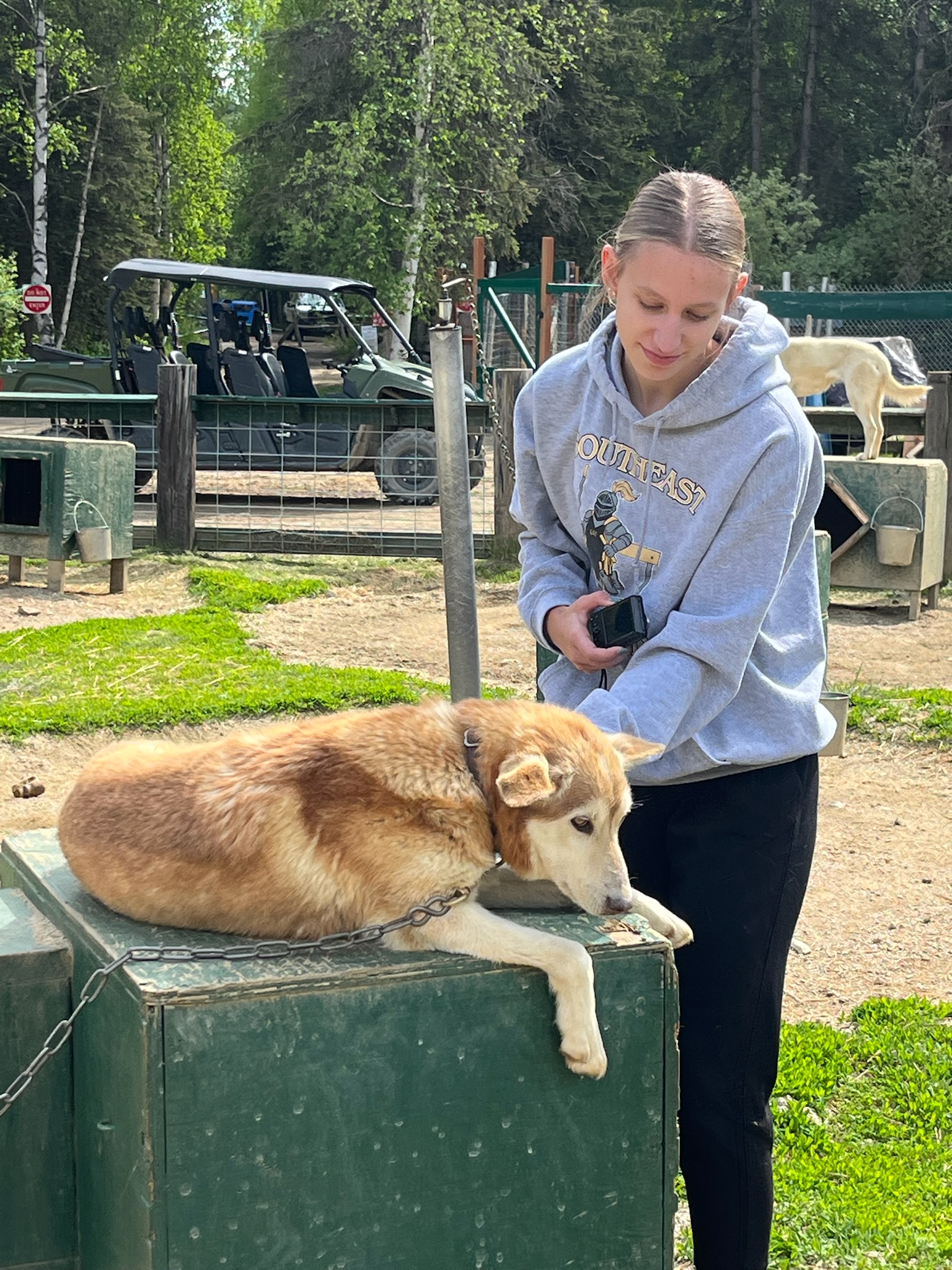 A girl pets an Alaskan husky at a sled dog kennel in Alaska.